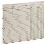 Wilson Jones Ledger Sheets - 100/Pack, Contrasting Rulings,-0