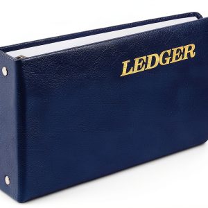 Wilson Jones Blue Metal Ledger Sheets-0