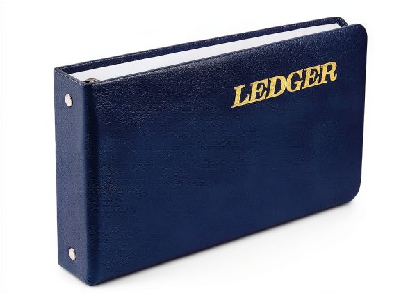 Wilson Jones Blue Metal Ledger Sheets-0