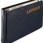 Wilson Jones Vinyl Ledger Sheets Blue W0203-58BLA-0