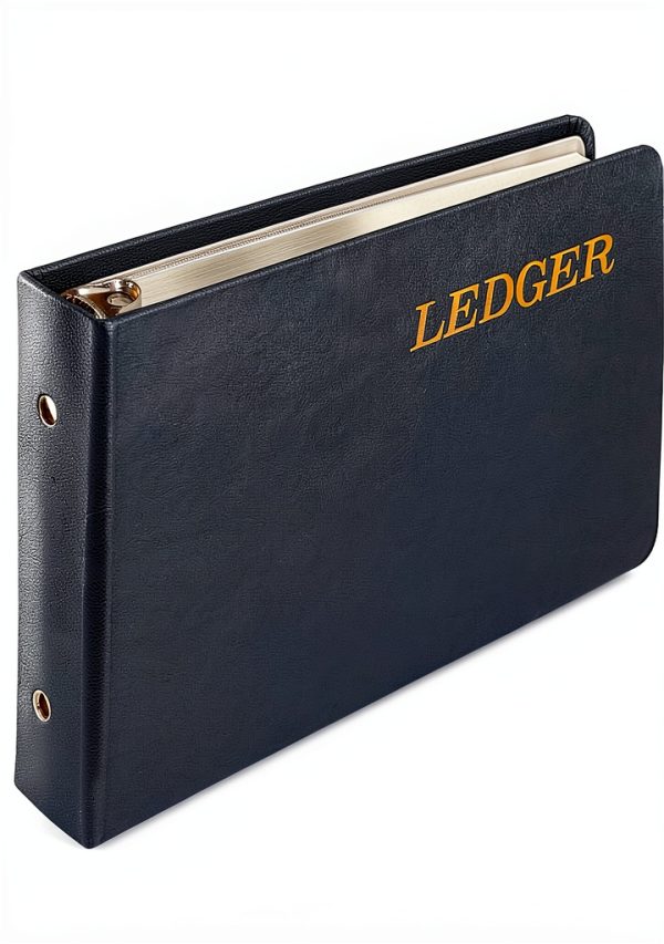 Wilson Jones Vinyl Ledger Sheets Blue W0203-58BLA-0
